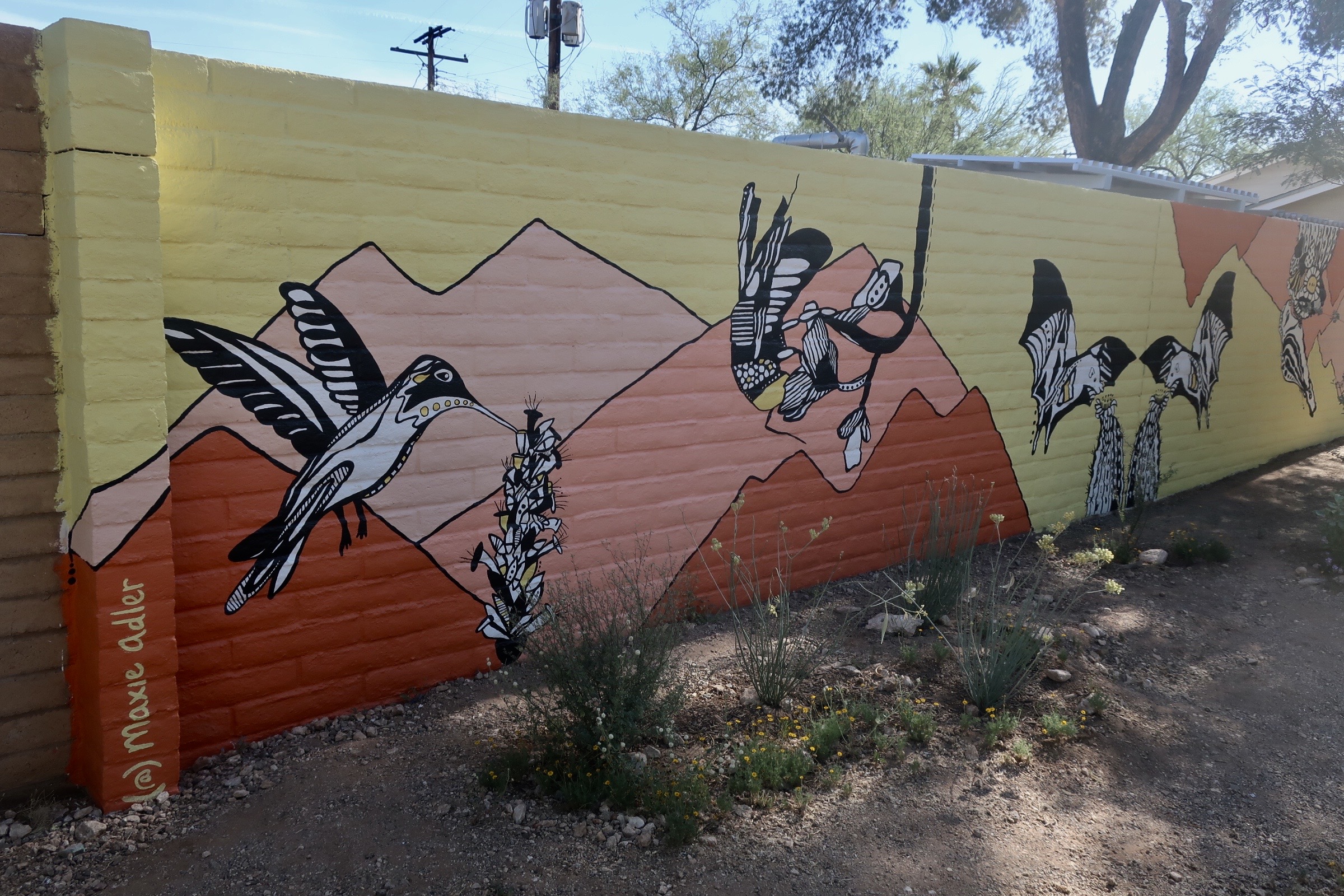 Maxie Adler gallery 5