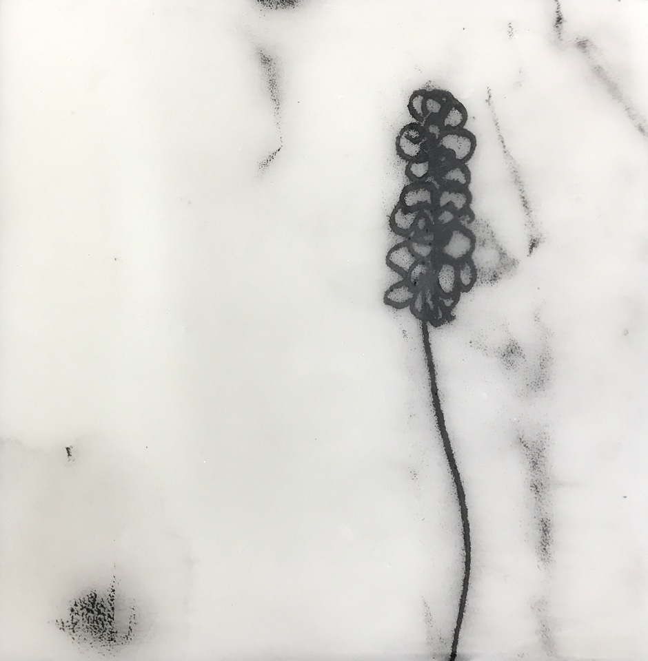 Clare Tinnion Owens gallery 9