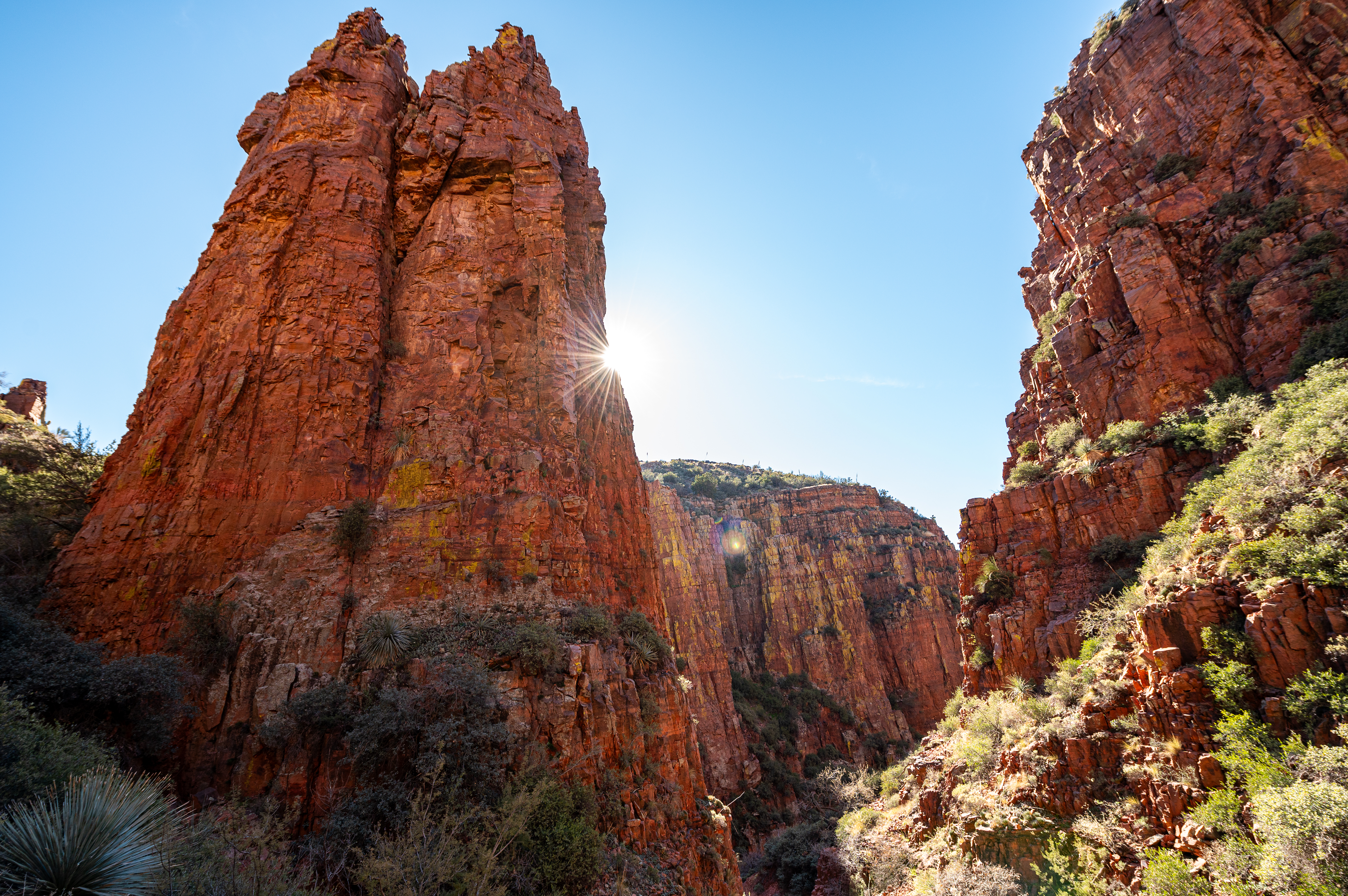 Cody Van Cleve gallery 6