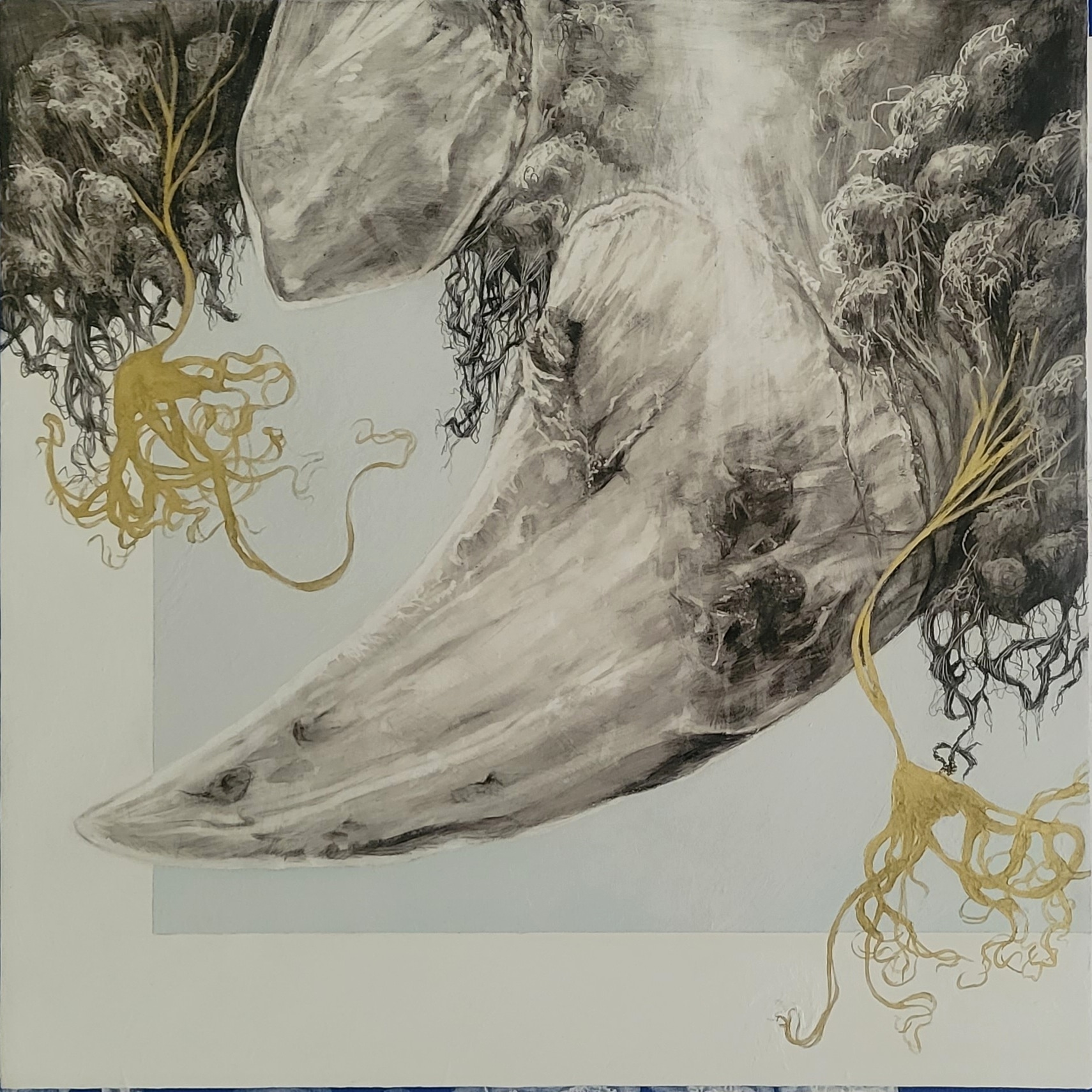 matthew hunt gallery 7