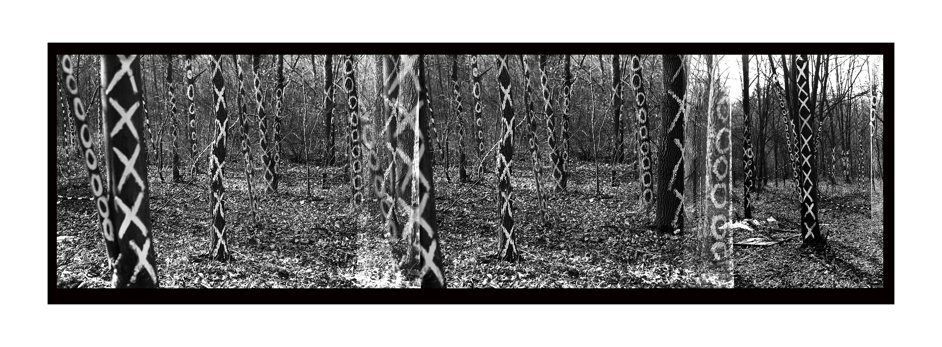 Marilyn Szabo gallery 5