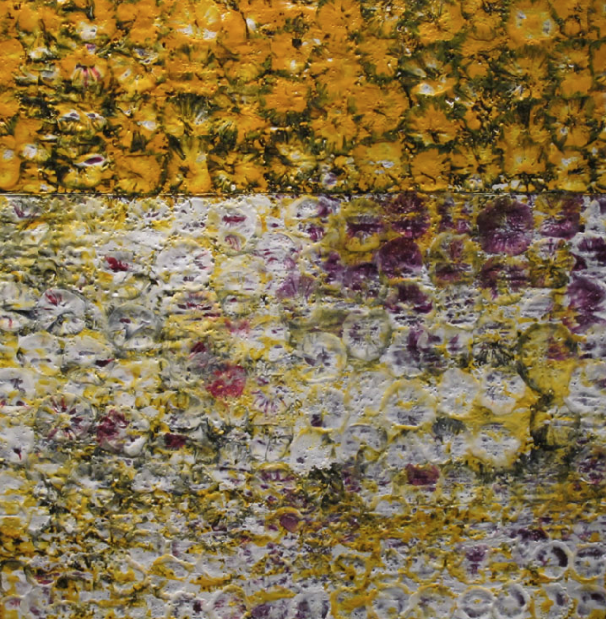 Clare Tinnion Owens gallery 6