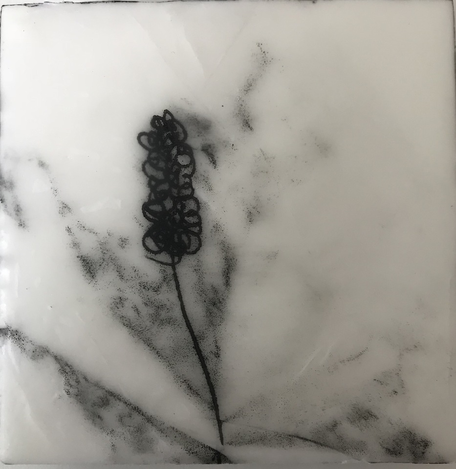 Clare Tinnion Owens gallery 7