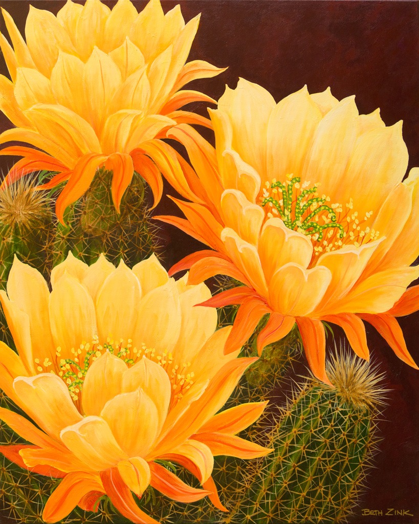 Beth Zink gallery 5