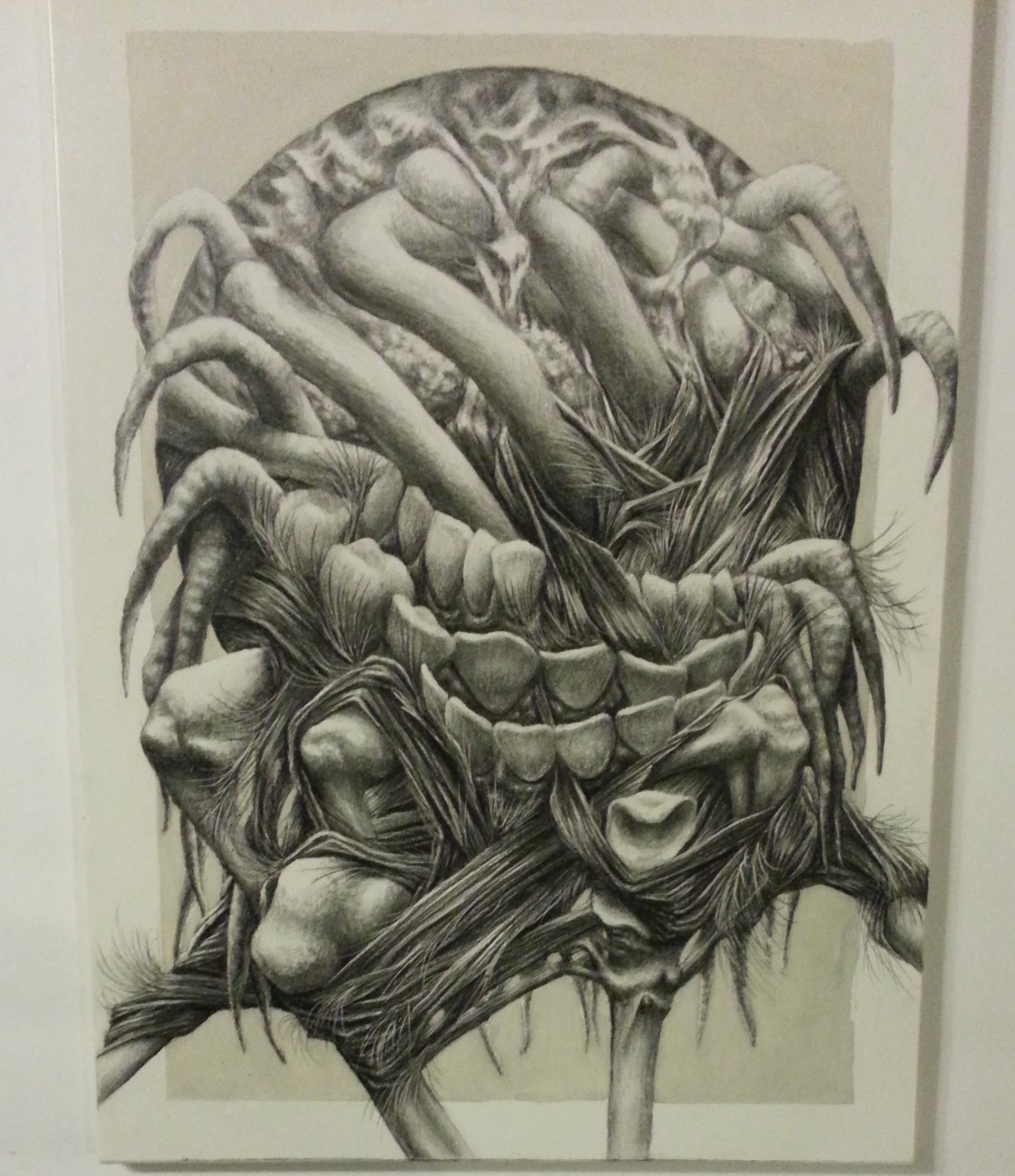 matthew hunt gallery 4