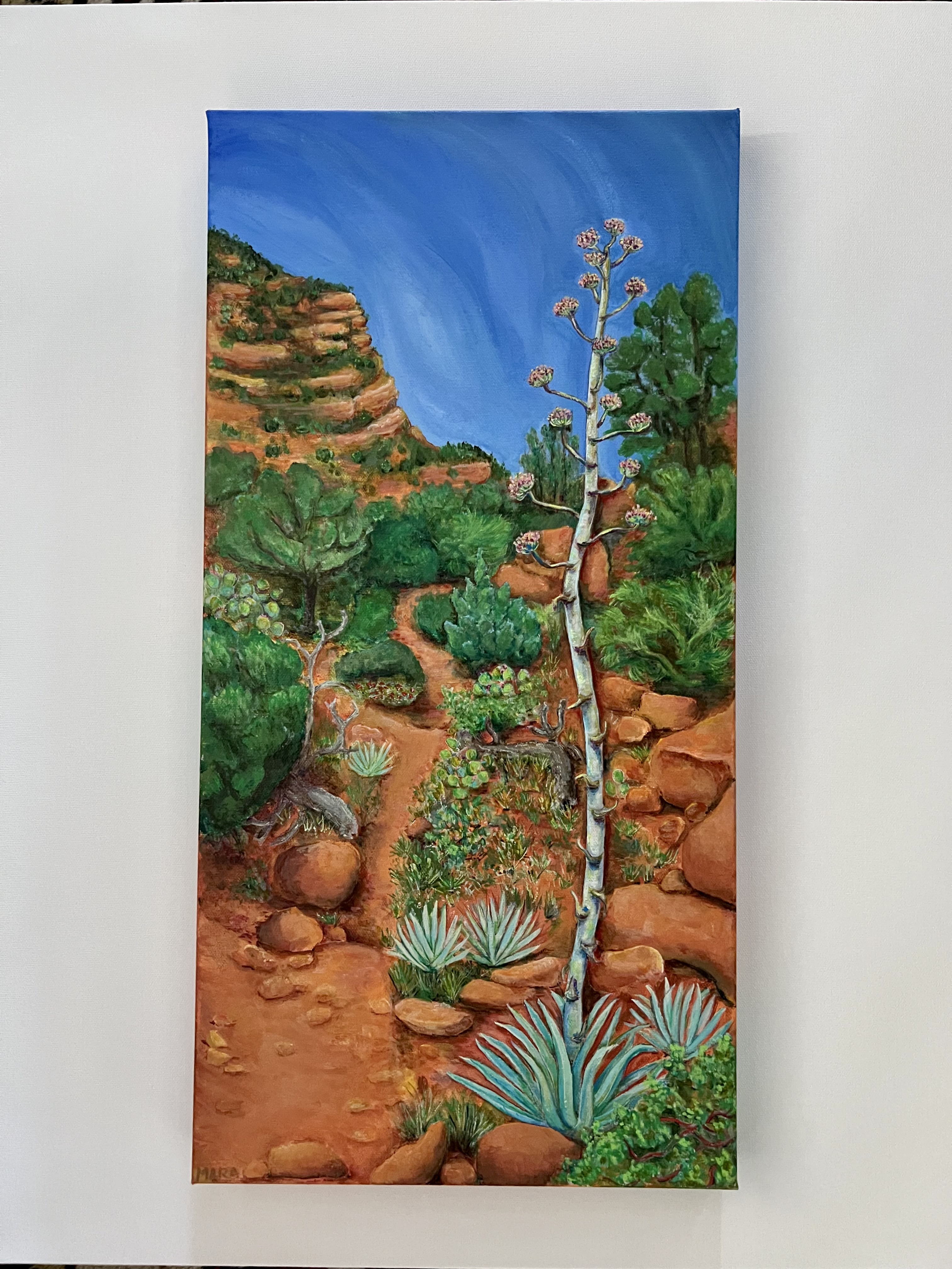 Mara gallery 3
