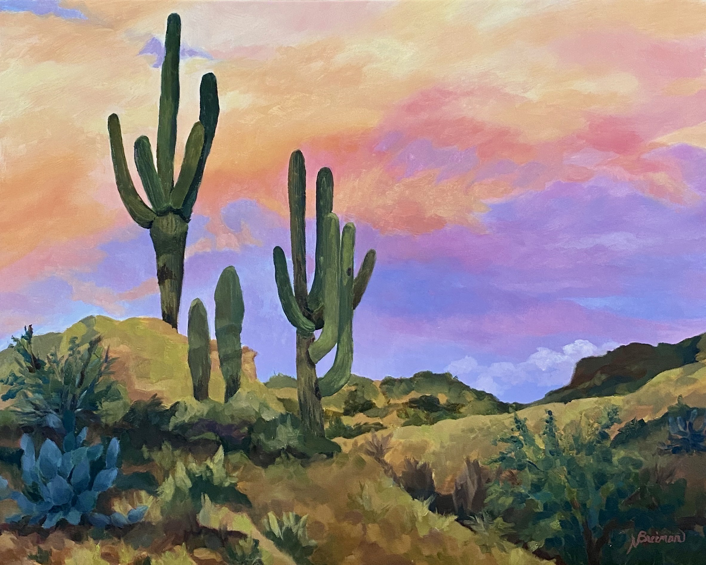 Fields of Color - Art by Nancy Breiman & Sarah Hansegard gallery photo 3