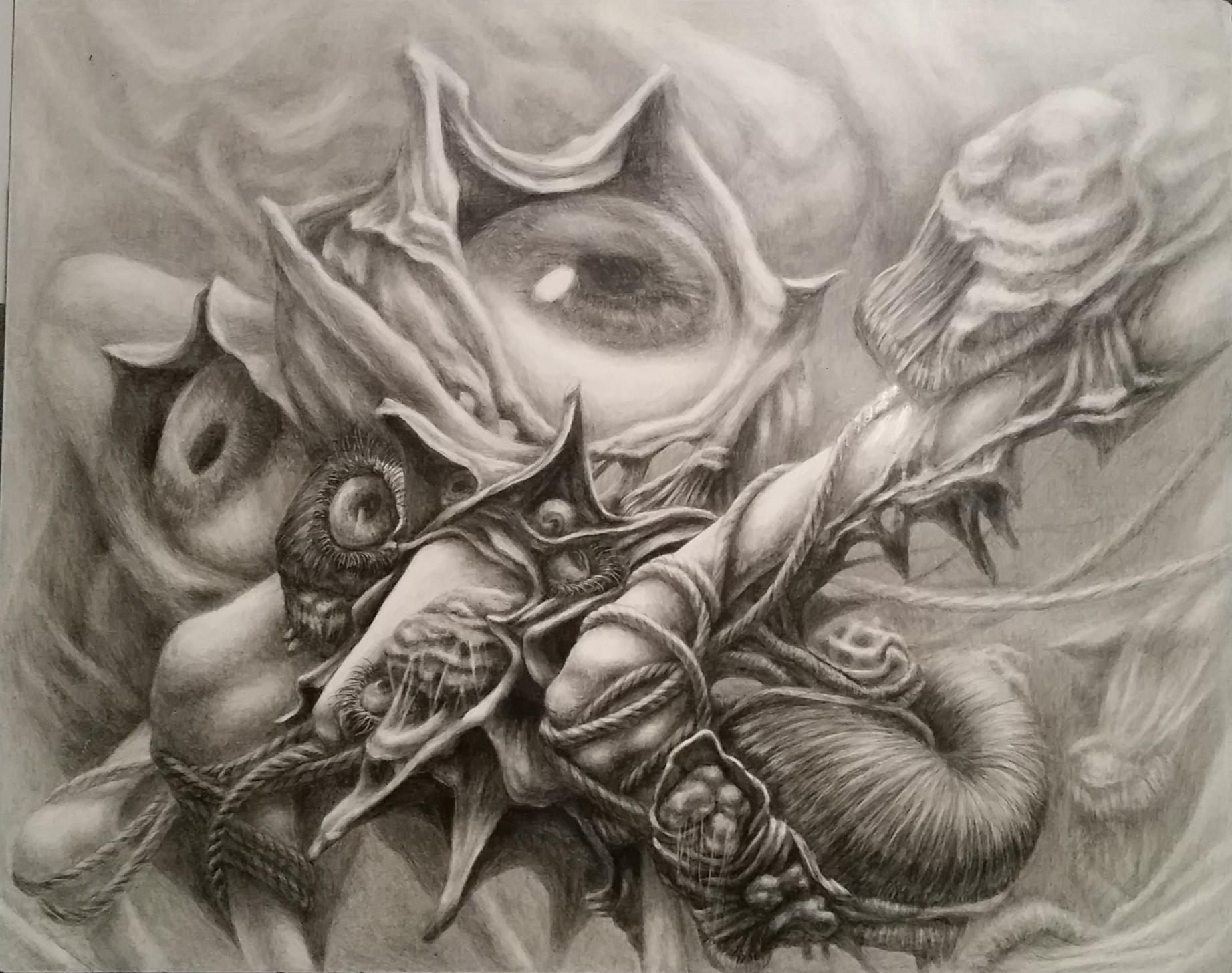 matthew hunt gallery 3