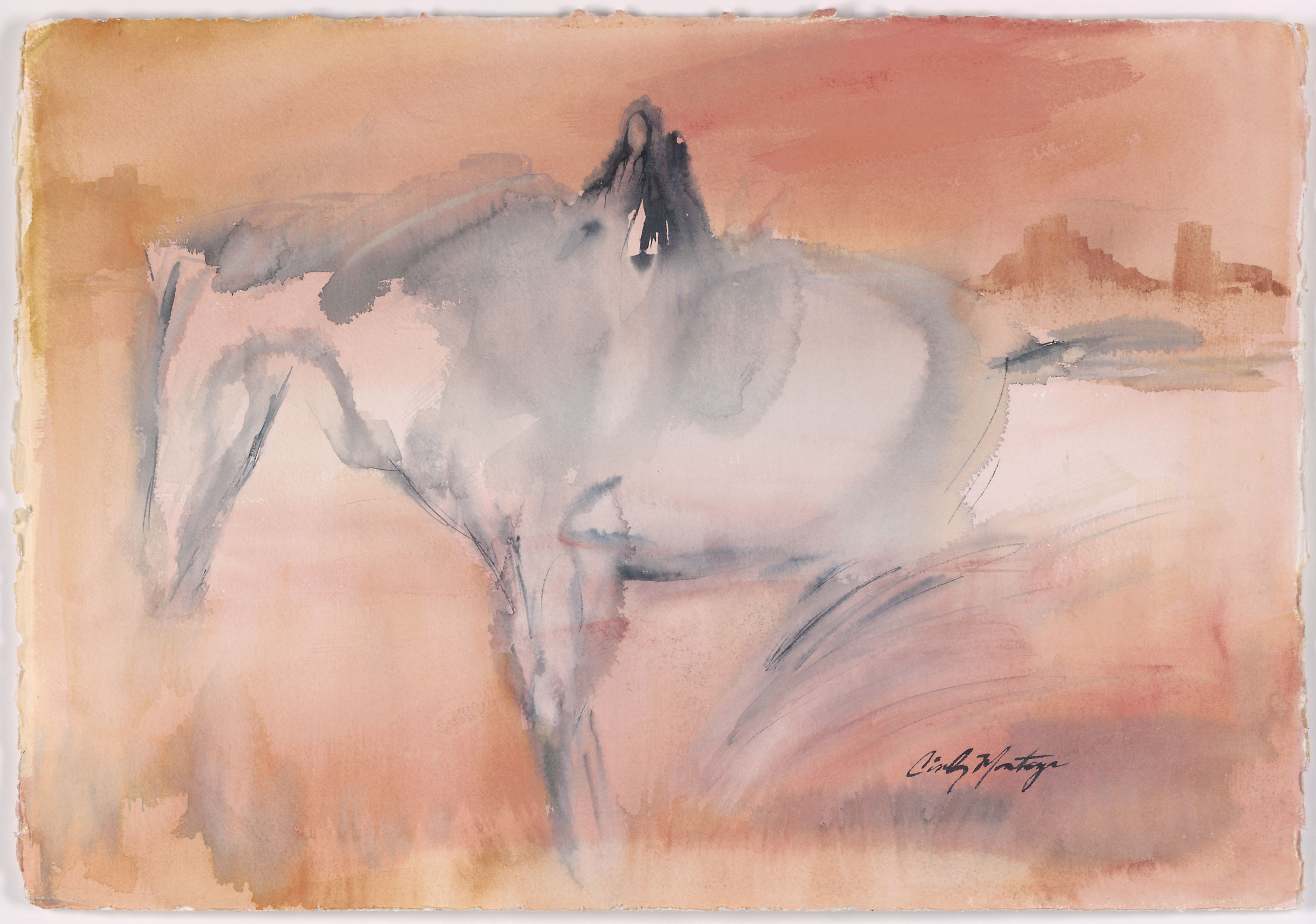 Cyn Silva gallery 14