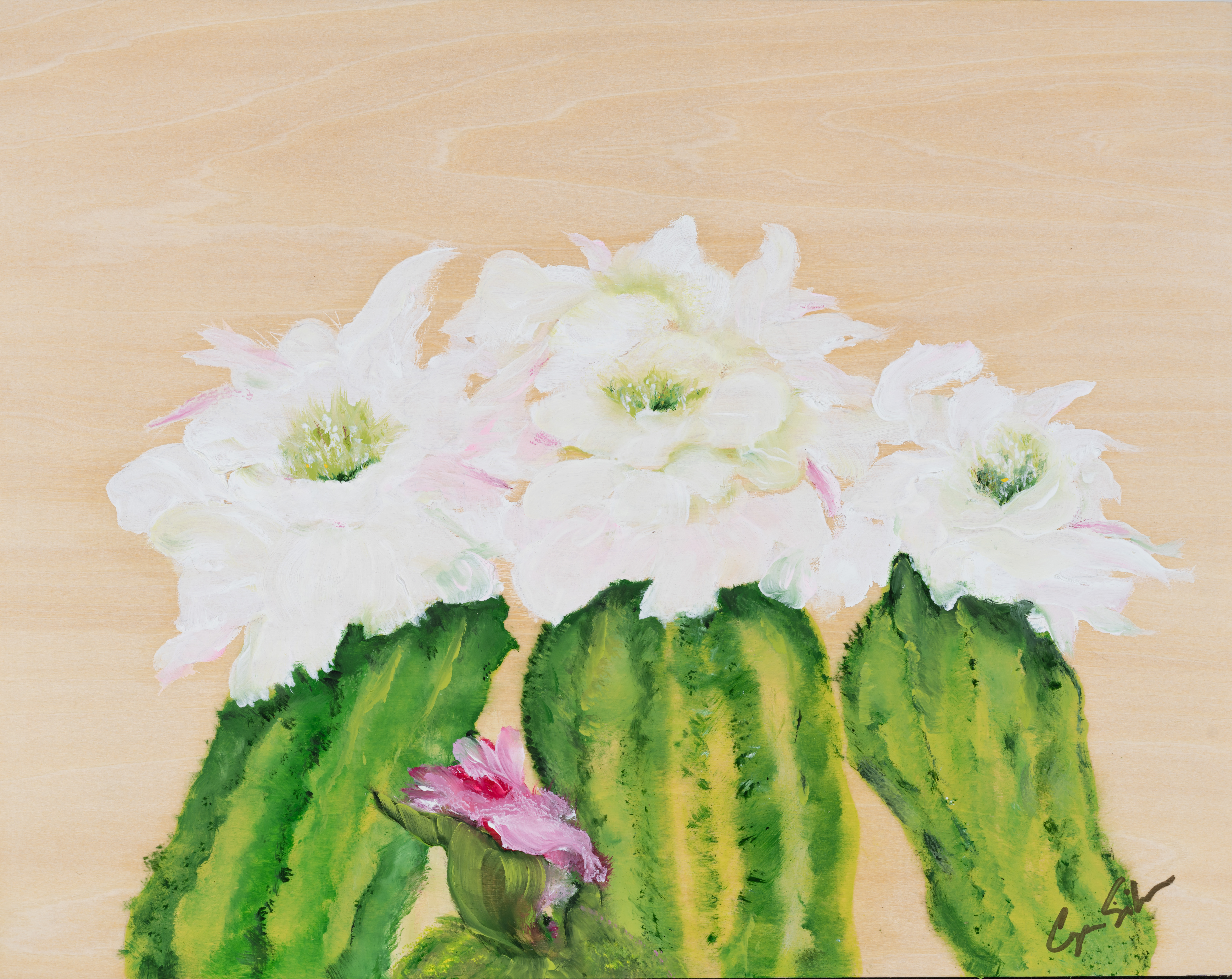 Cyn Silva gallery 5