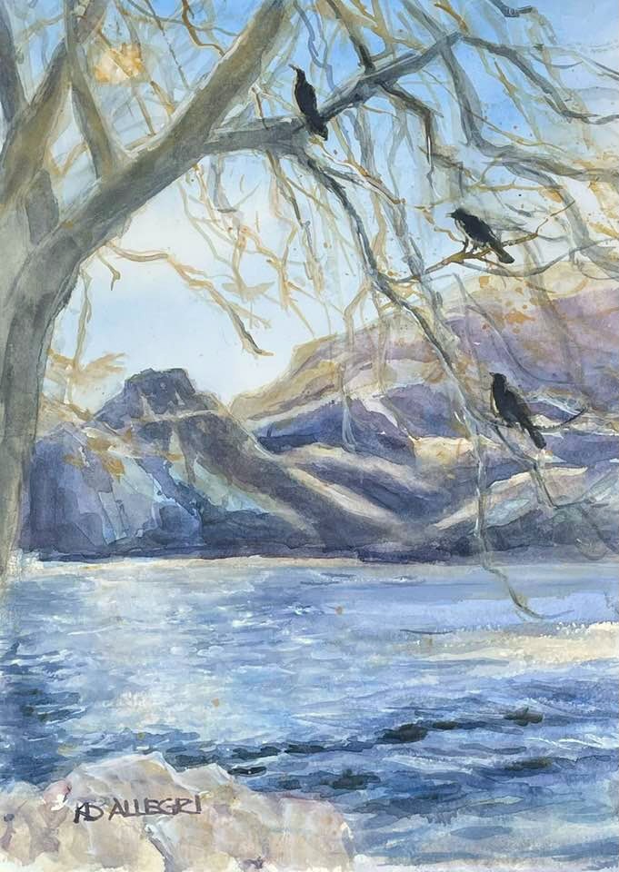 Kathy D Allegri gallery 3