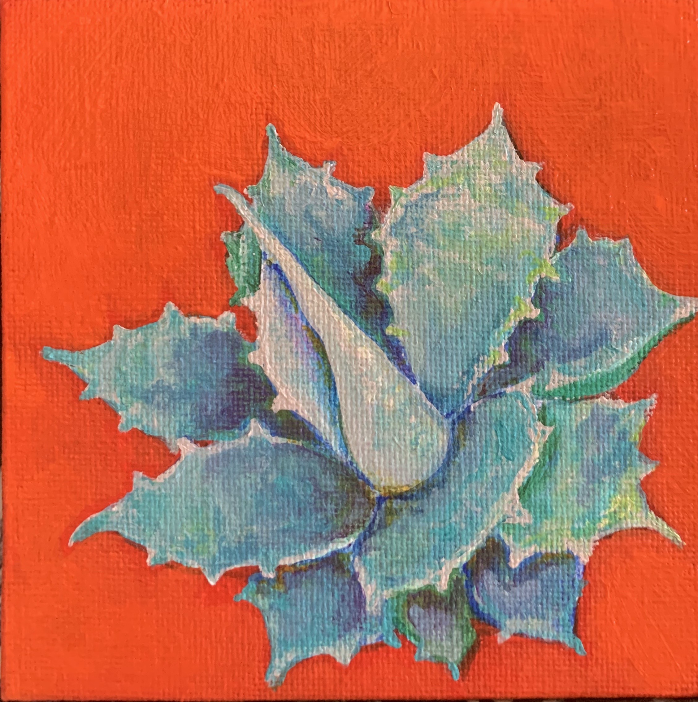 Mara gallery 6