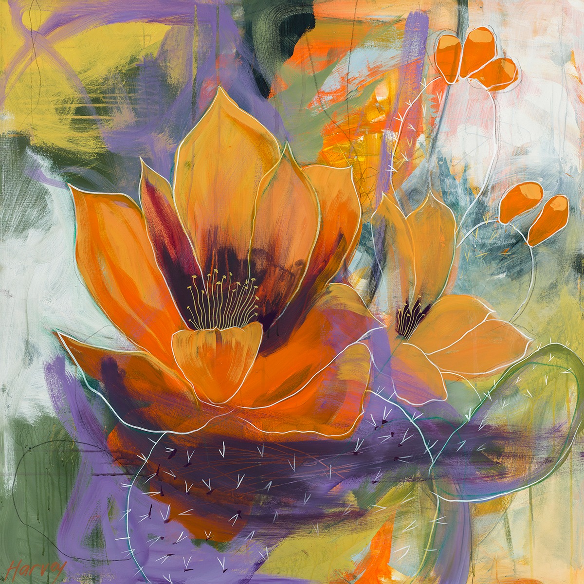 Kristin Harvey gallery 3