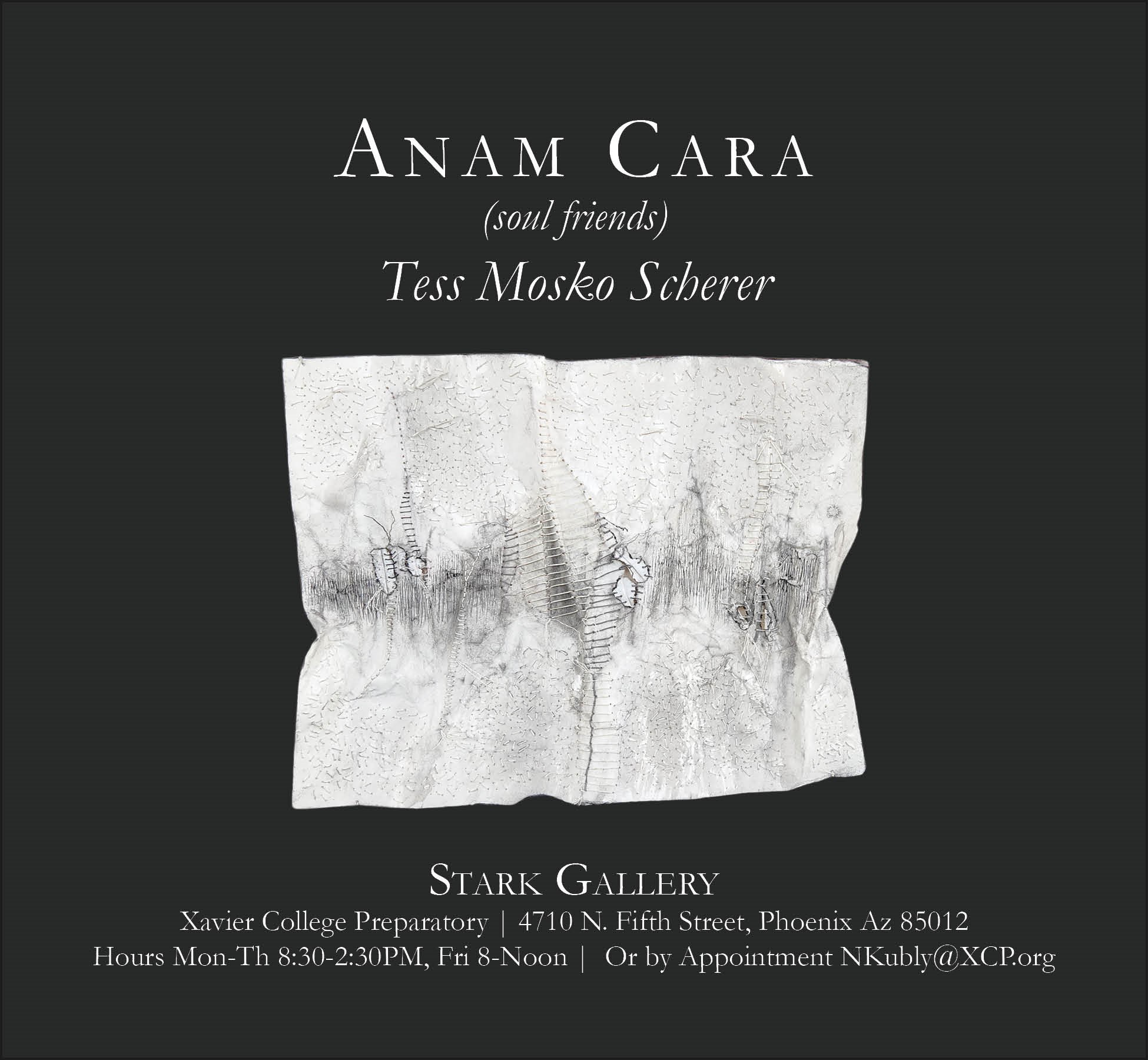 Reception - Anam Cara (soul friends) | solo show | Tess Mosko Scherer gallery photo 1