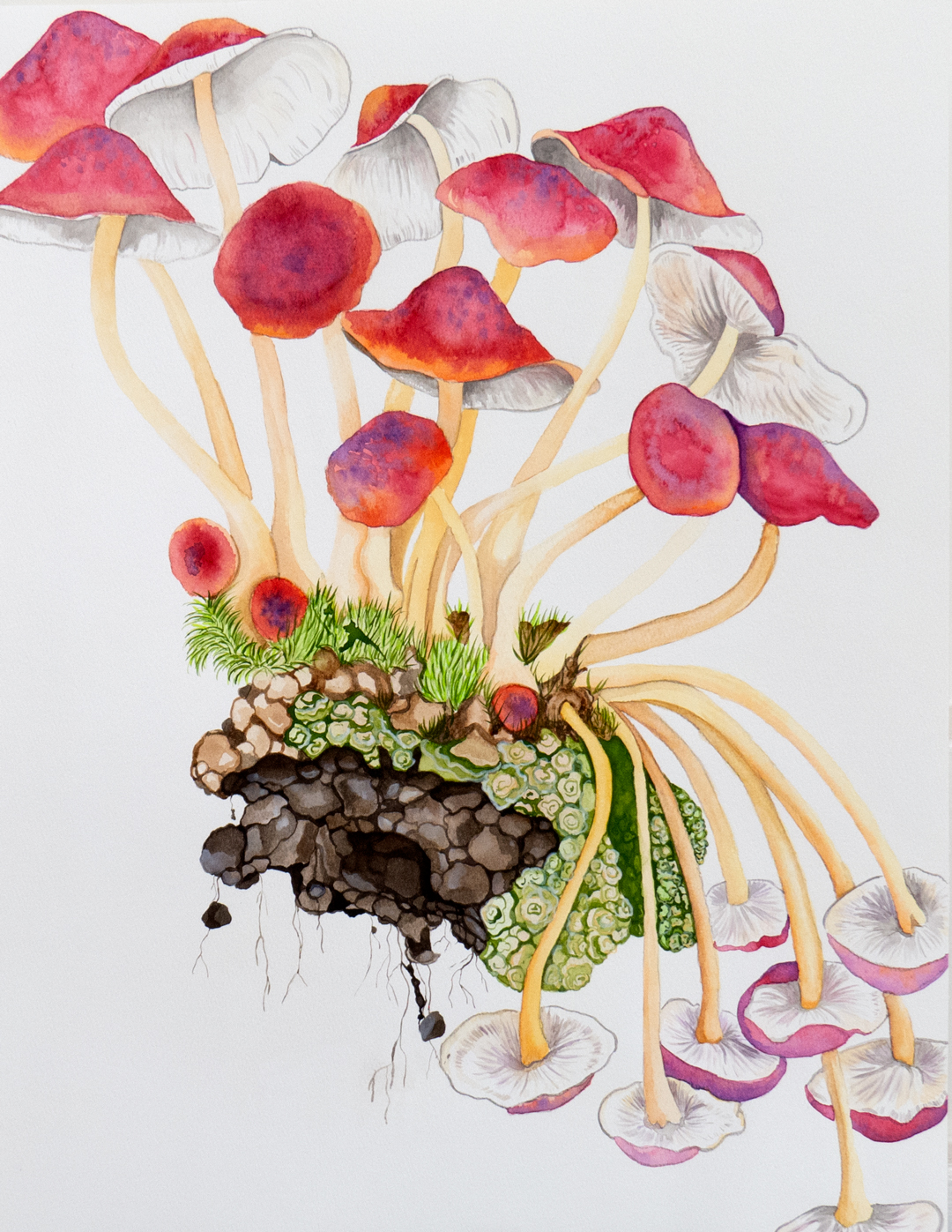 Watercolor Mushroom Class with Amanda gallery photo 3