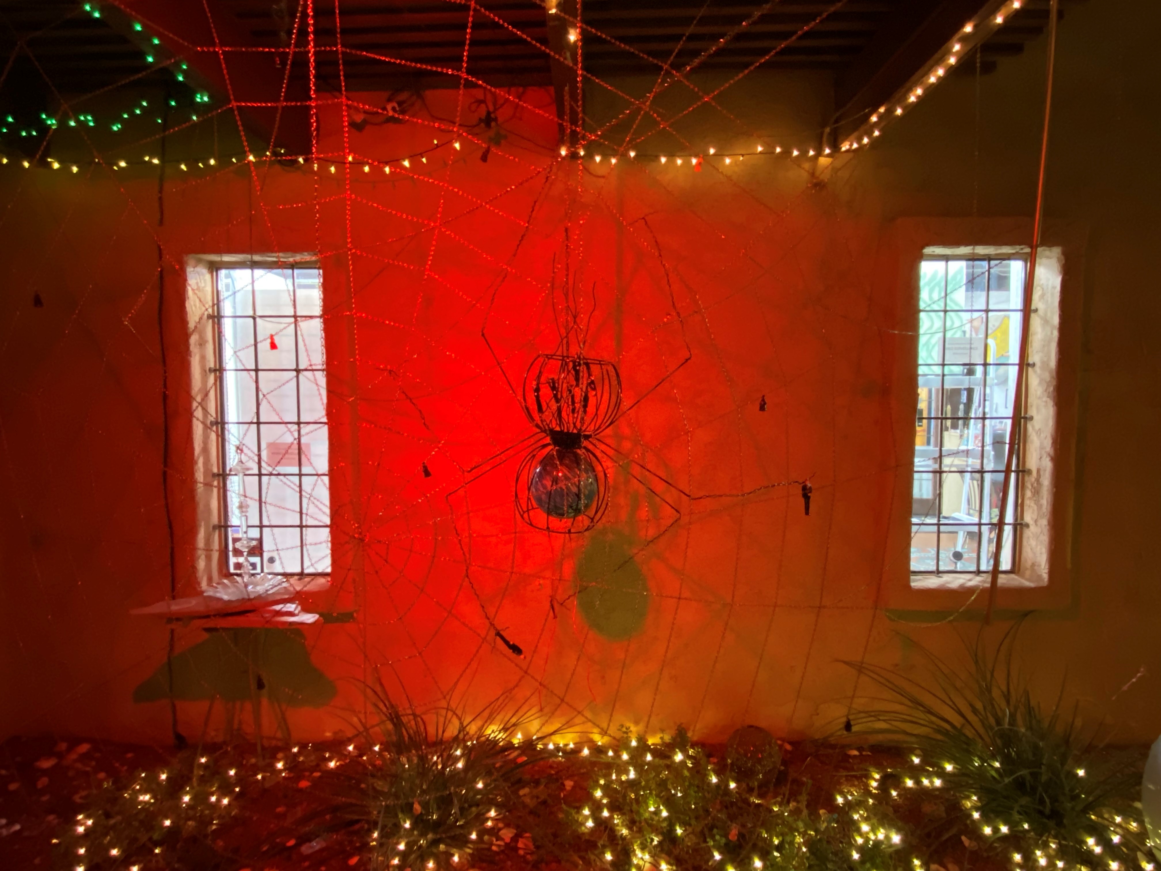 Passive Motion and More... gallery photo 6