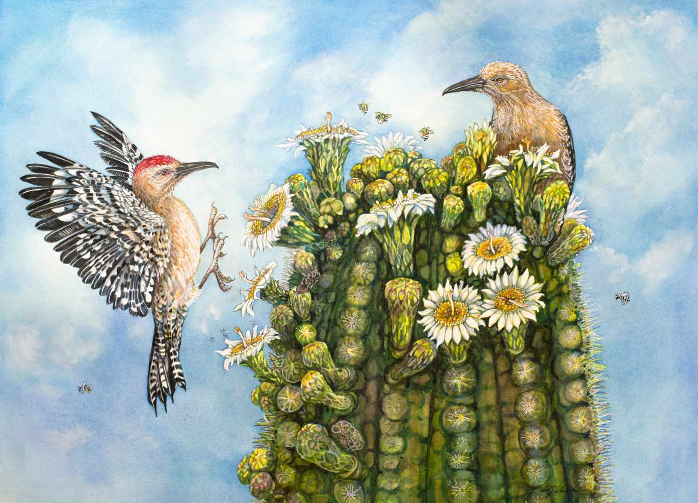 Mary Helsaple gallery 2