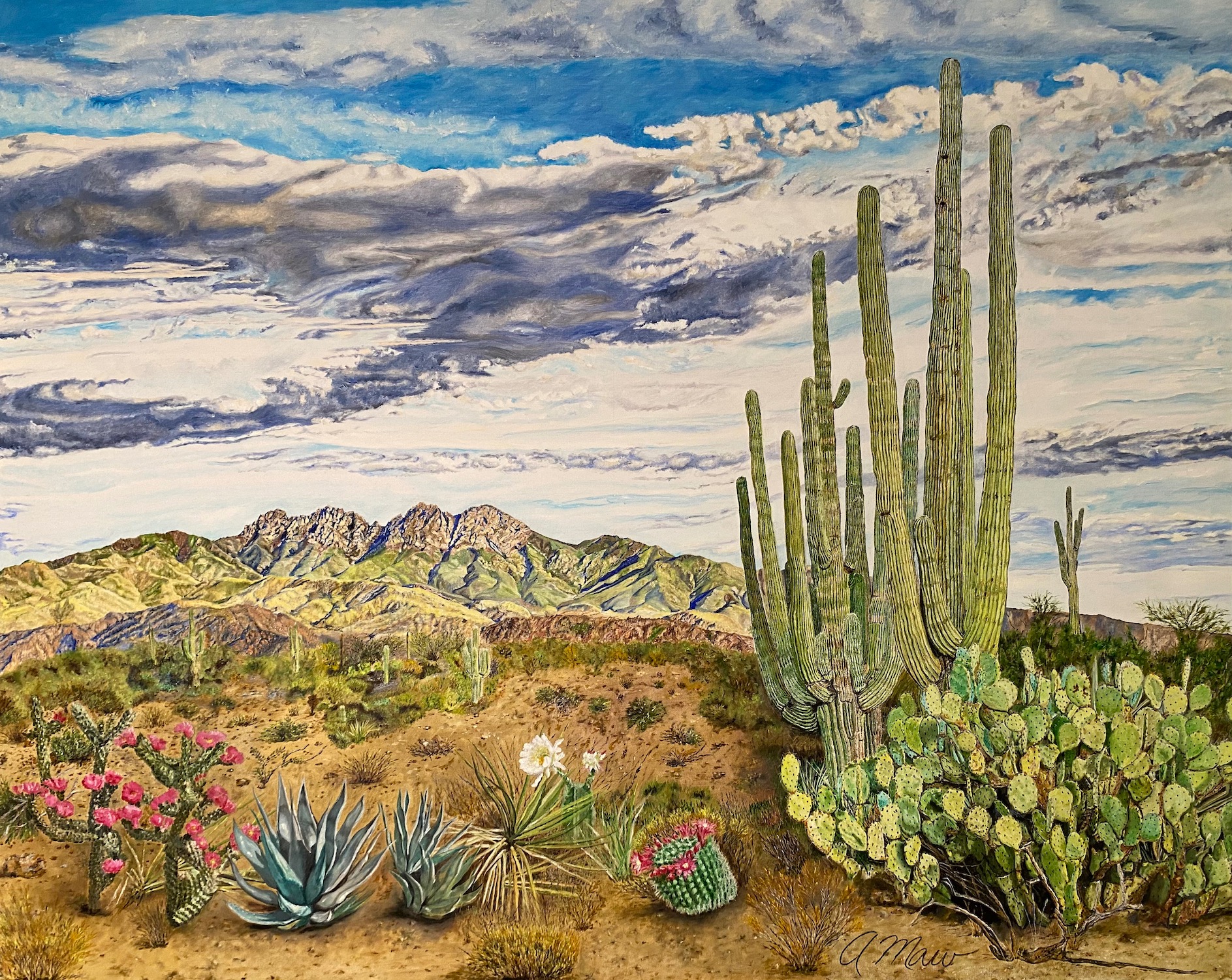 Andrea Maw gallery 2