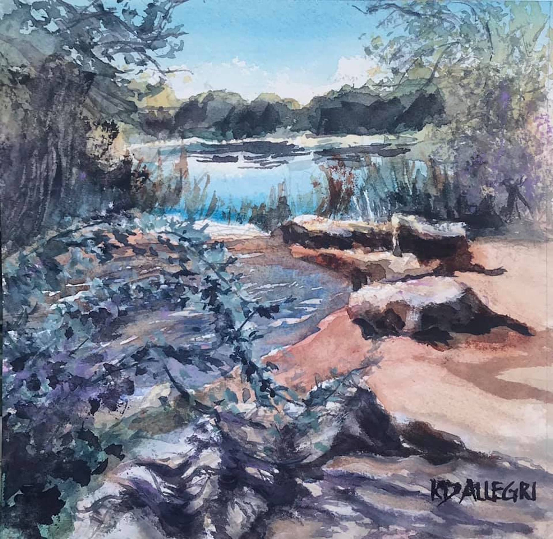 Kathy D Allegri gallery 1