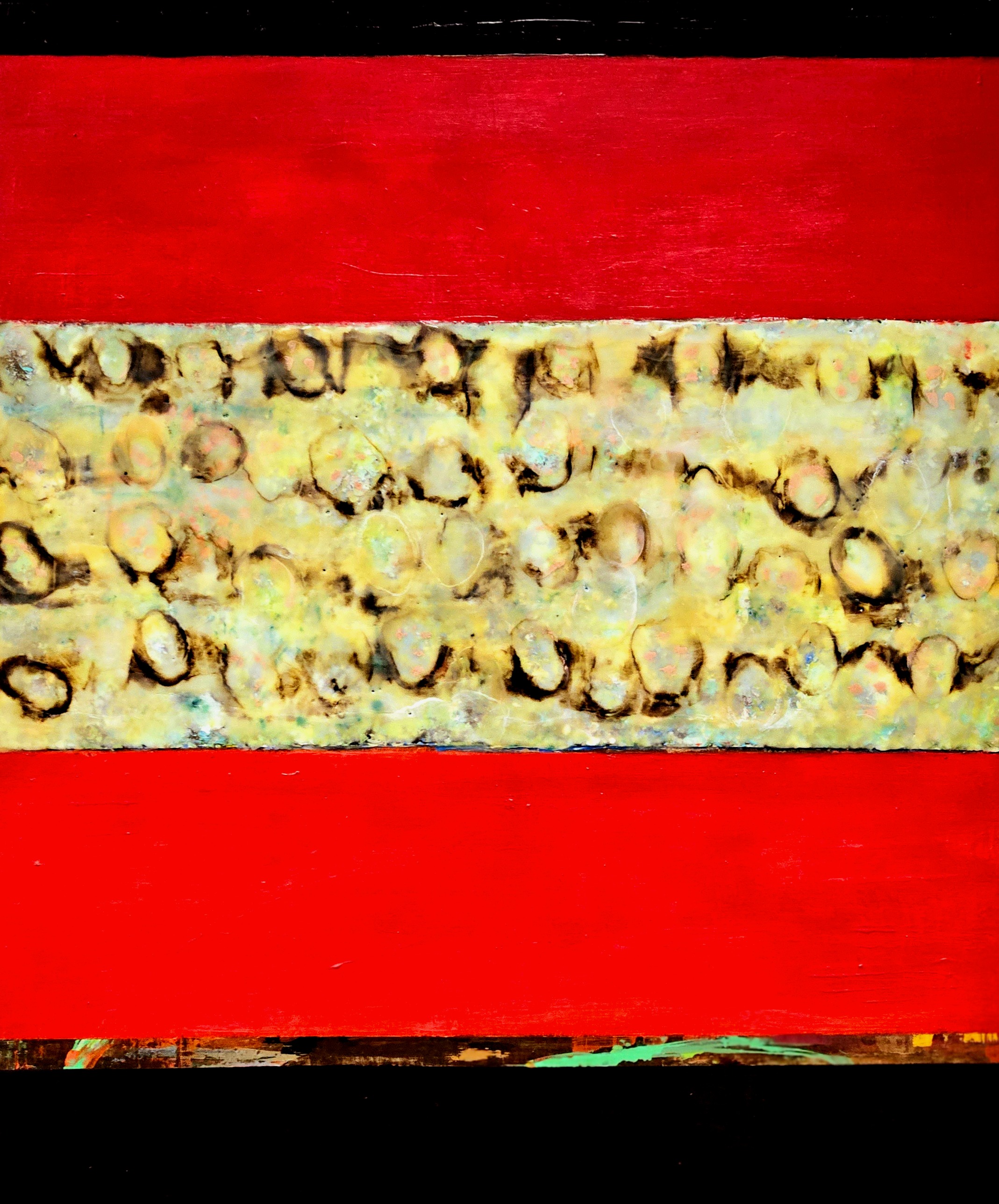 Bela Fidel gallery 10