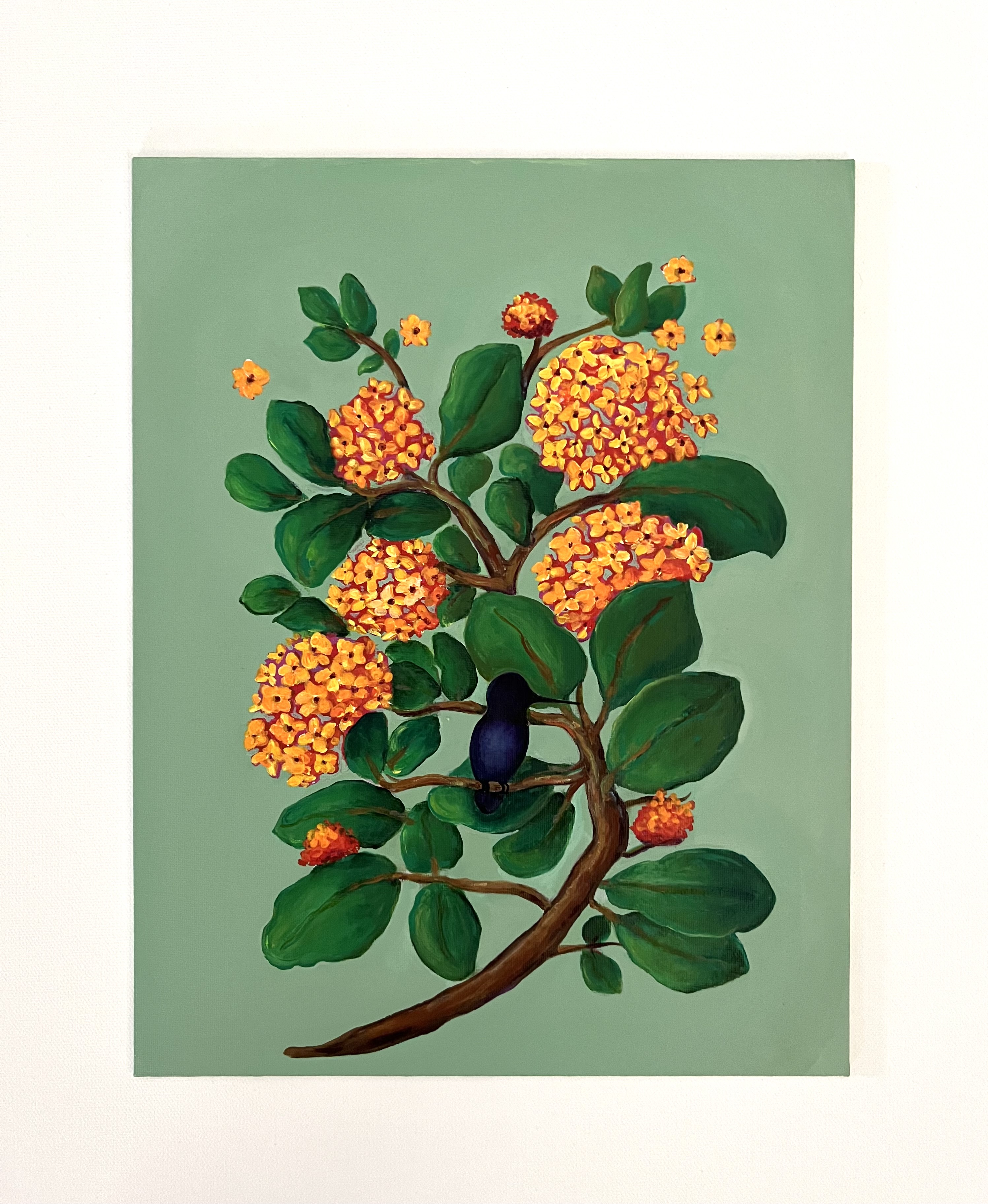 Mara gallery 8