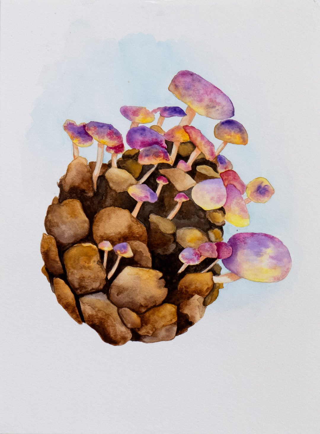 Watercolor Mushroom Class with Amanda gallery photo 2