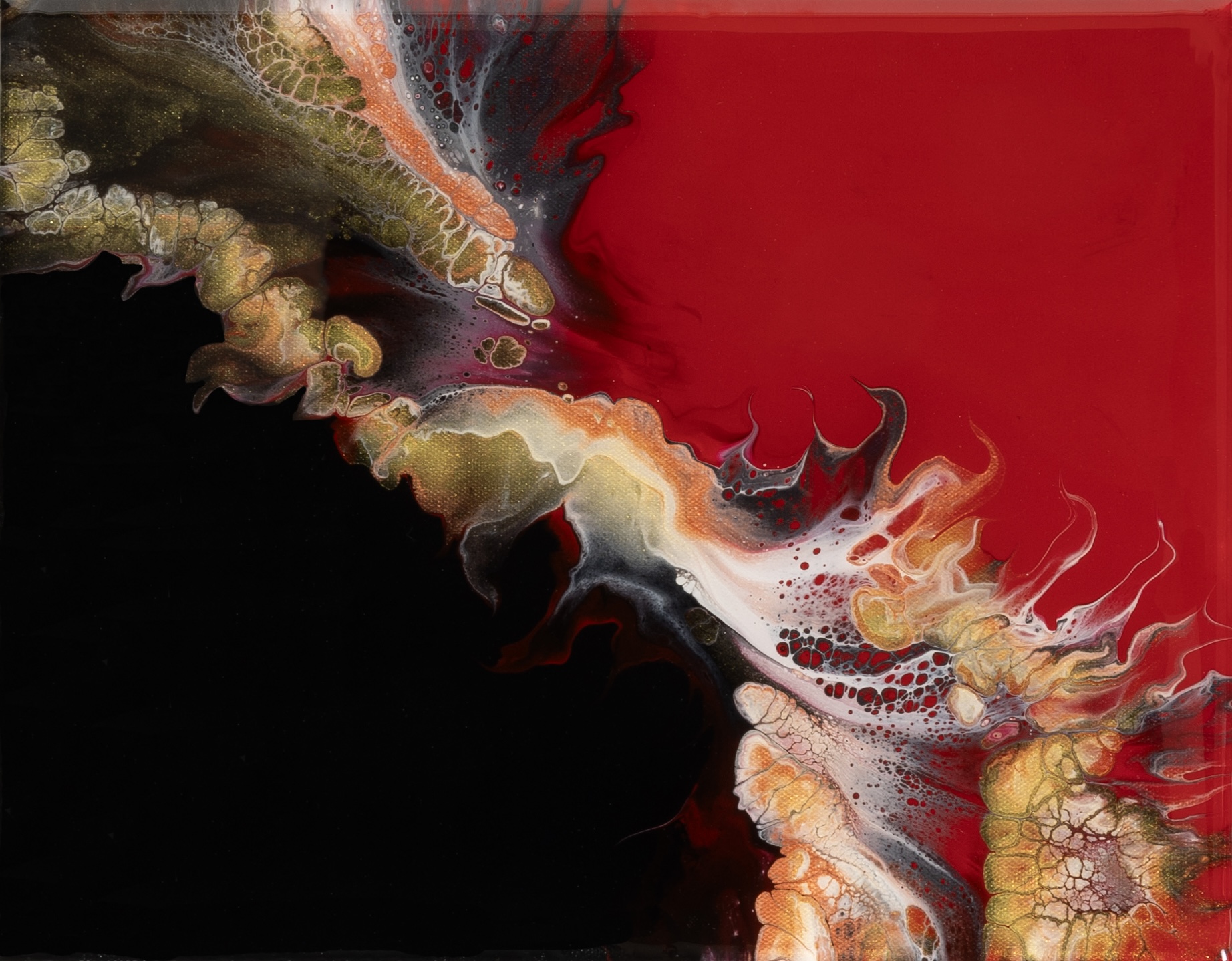 Joan Abraham gallery 5