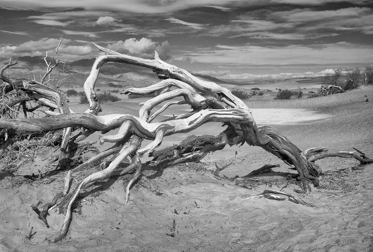 Fred Ullrich gallery 3